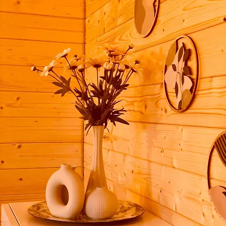 Na Zielonej Lace Boho Apartment Nowecin